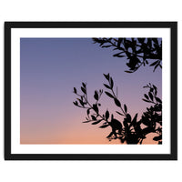 Silhouette of a tree against a colorful sky