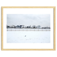 A seagull and snow covered houses