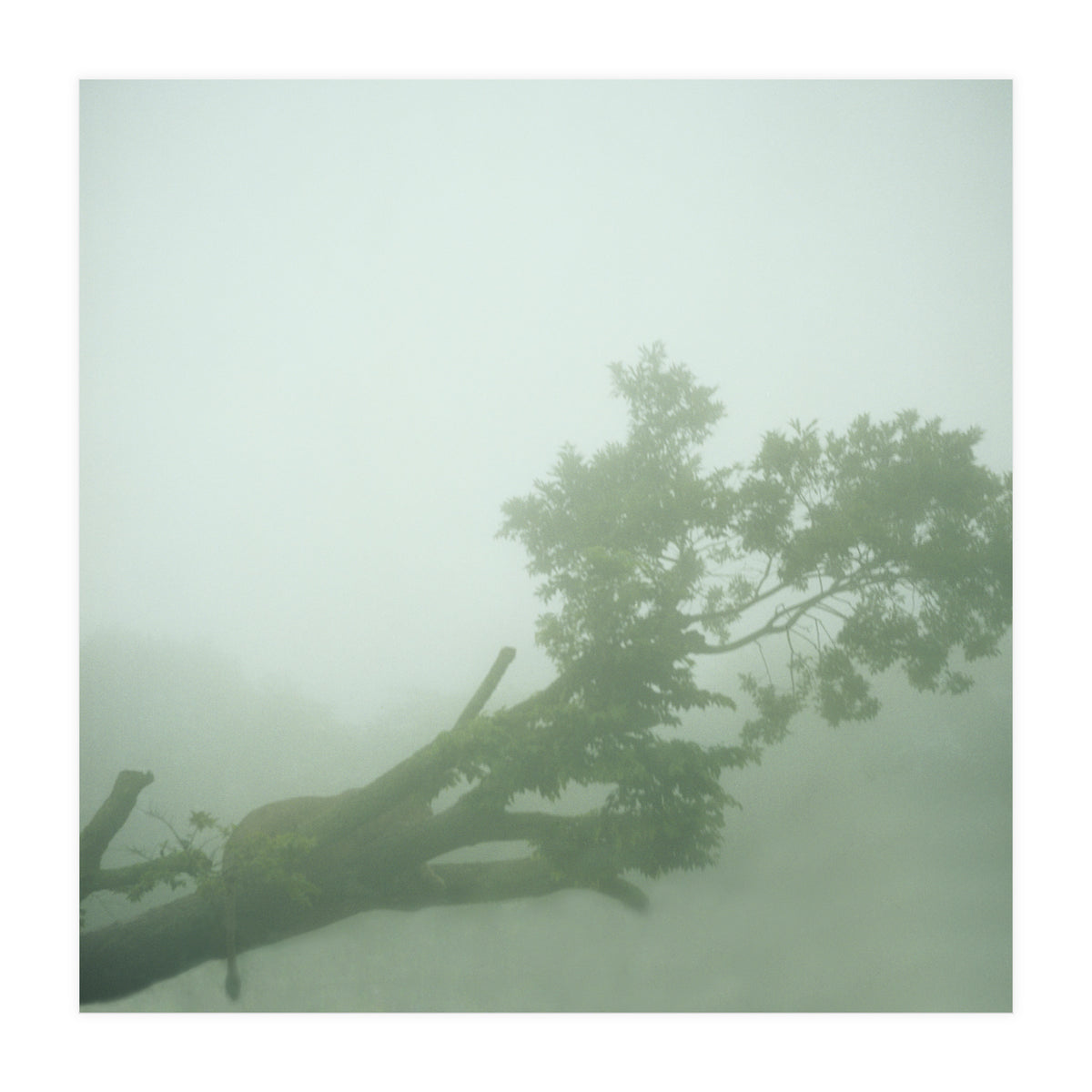 Silence of breath - 07 (Print Only)