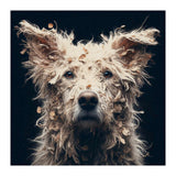 Old Dog 06 (Print Only) thumbnail