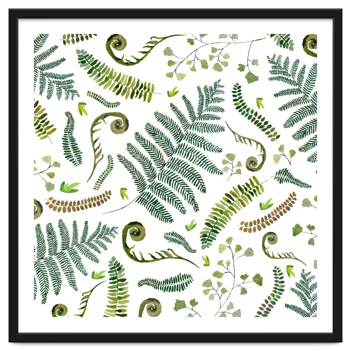 Spring Fern Pattern