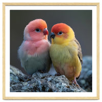 Pair Of Lovebirds Sitting On Rocks
