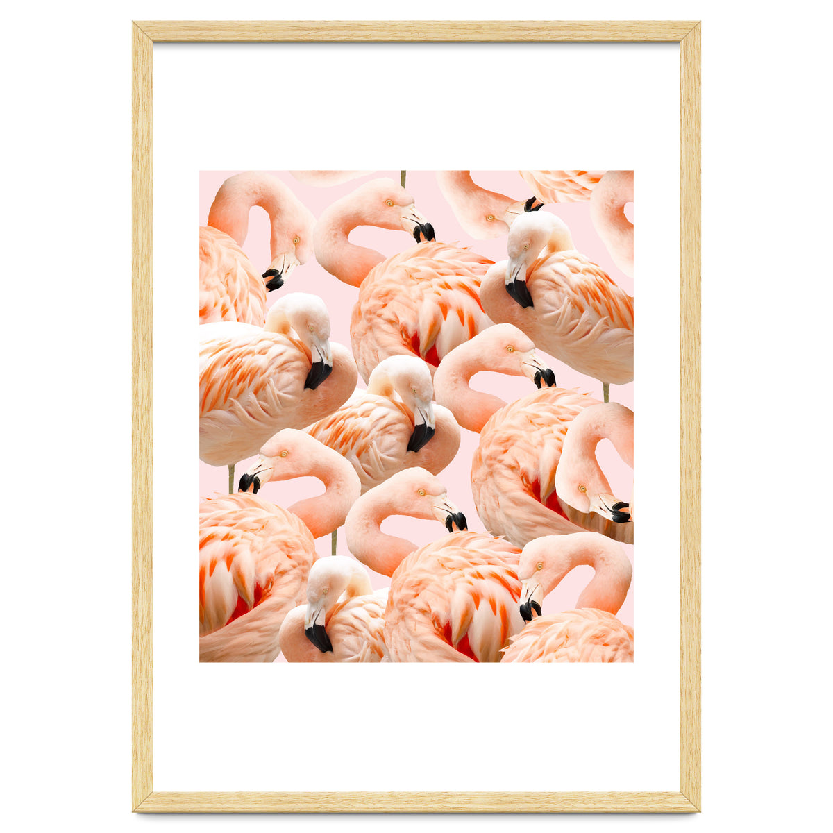 Flamingo Blush #society6 #decor #buyart #flamingoart