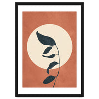 Summer Leaves