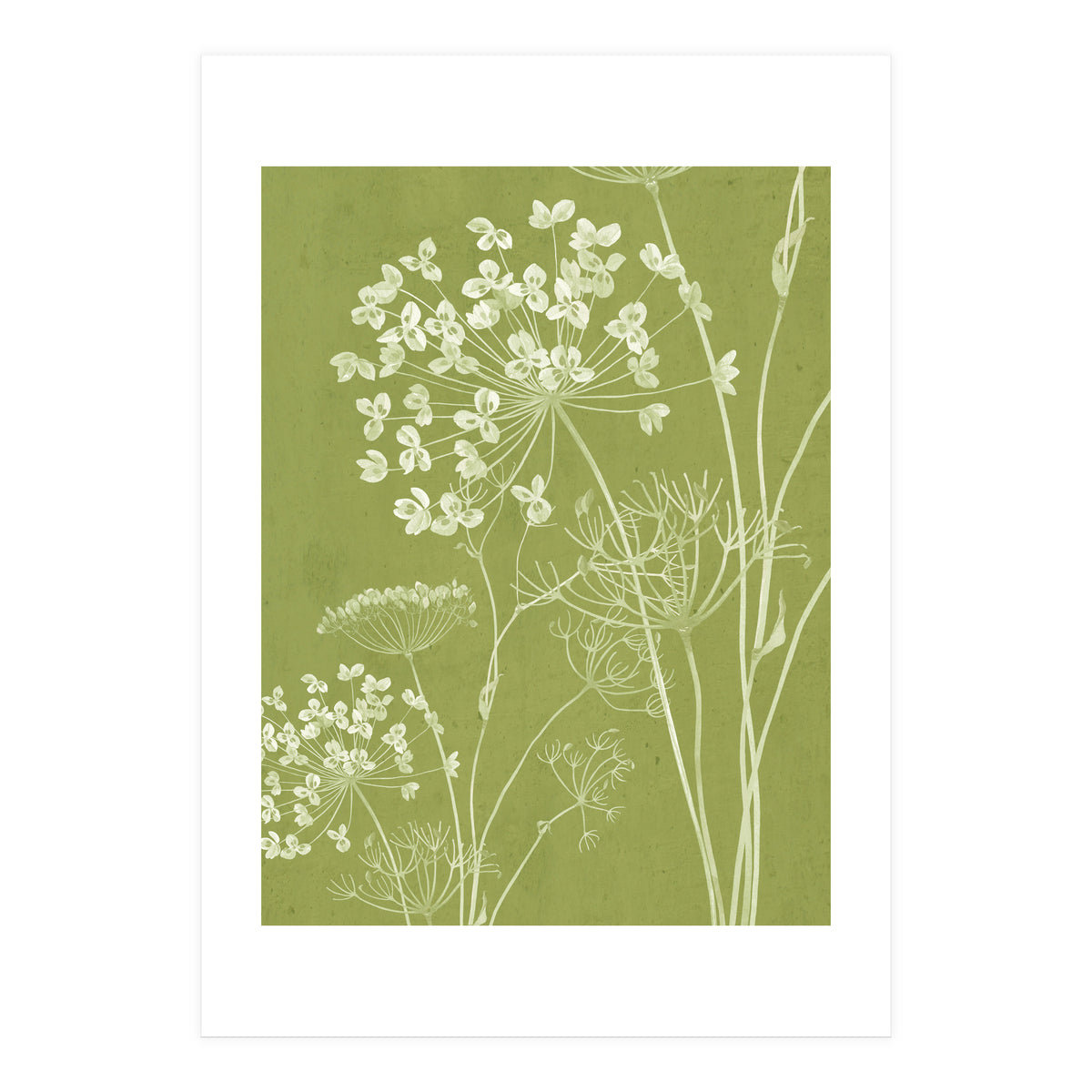 Wildflowers III (Print Only)