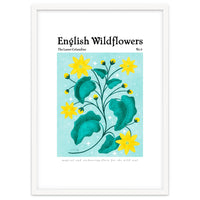 English Wildflowers | Lesser Celandine