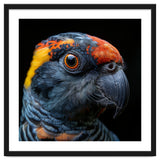 Close Up Of A Colorful Parrot Bird's Head thumbnail