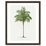 Oswald de Kerchove de Denterghem – Vintage Palm Tree Illustration (1878) thumbnail