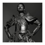 Samourai armor (Print Only) thumbnail