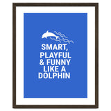 Smart, playful and funny like a dolphin thumbnail
