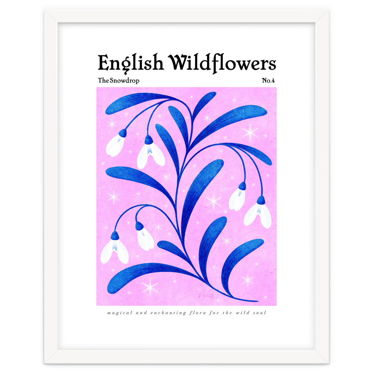 English Wildflowers | Snowdrops
