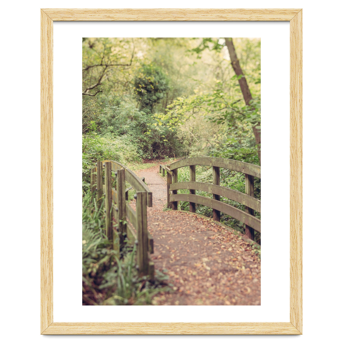 Path To The Bridge
