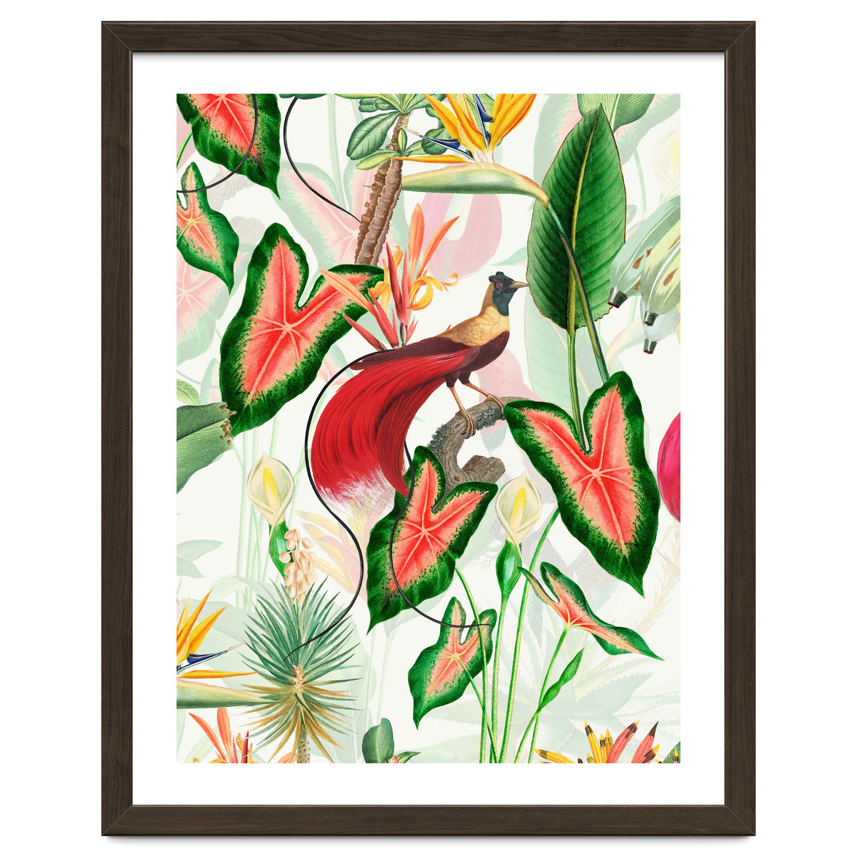 Vintage Bird Of Paradise in Jungle