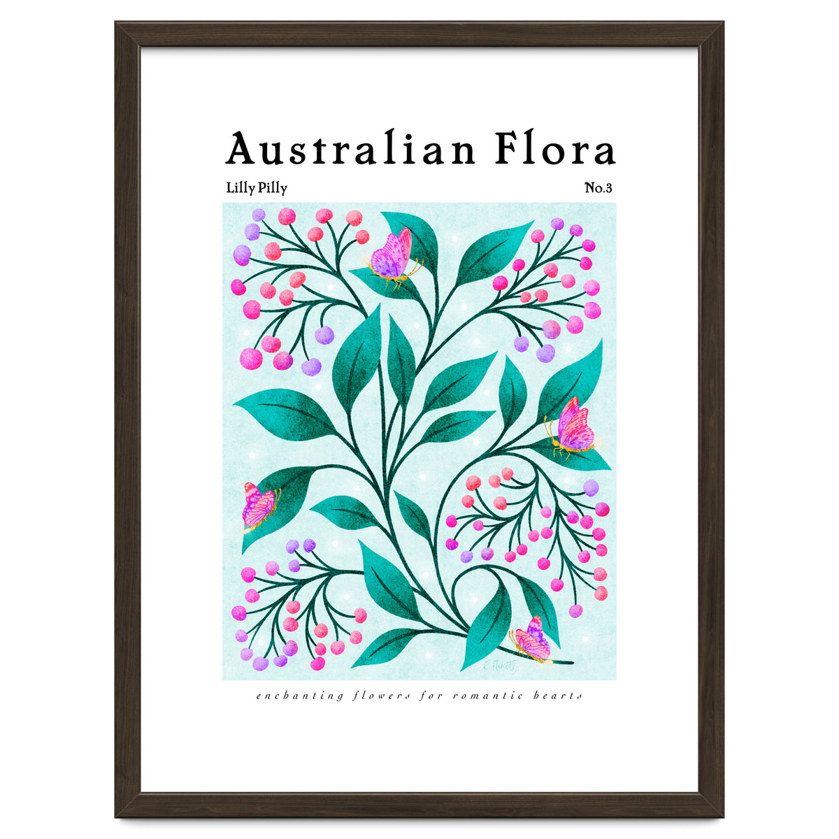 Australian Flora: Lilly Pilly