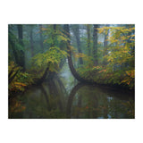 The bent trees (Print Only) thumbnail