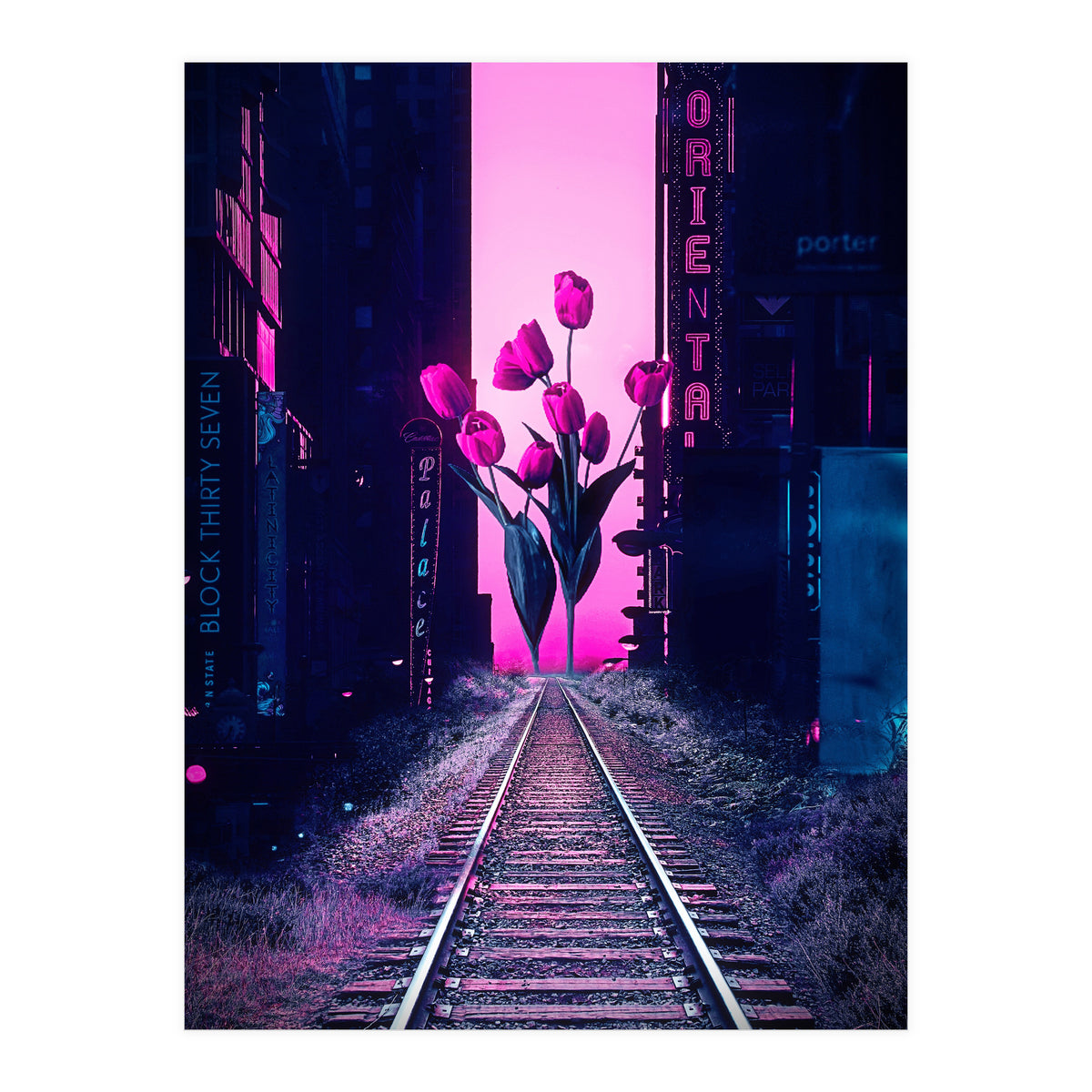 red tulips in the middle of the city (Print Only)