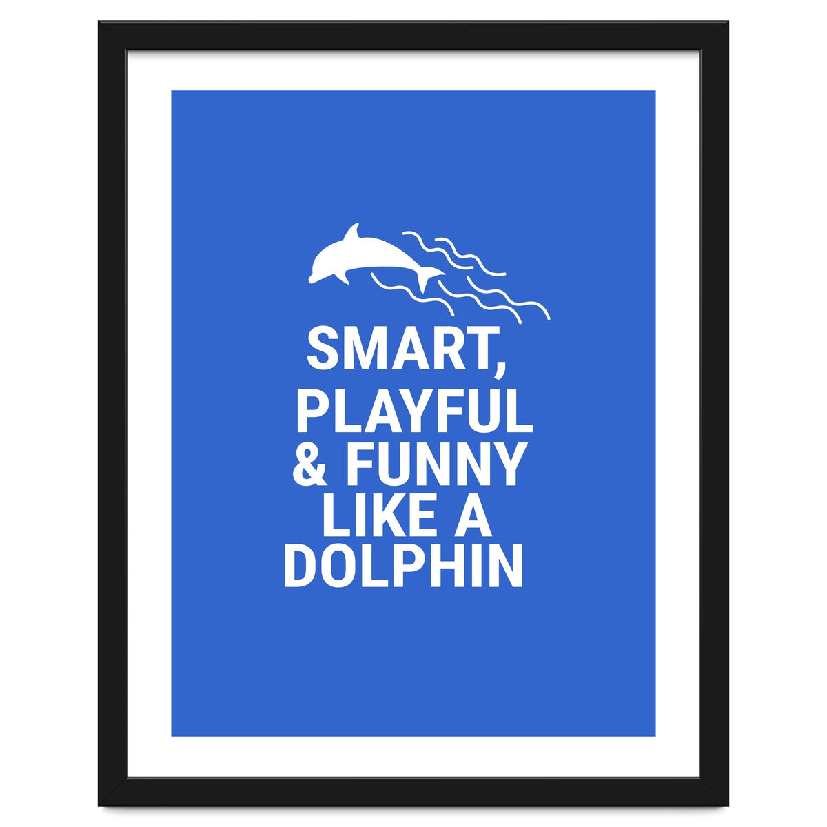 Smart, playful and funny like a dolphin