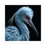 Striking Portrait Of A Blue Heron Bird (Print Only) thumbnail