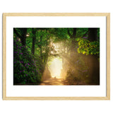 Hare in paradise thumbnail