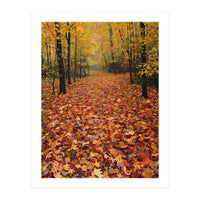 Ethereal Autumn Forest Path (Print Only)