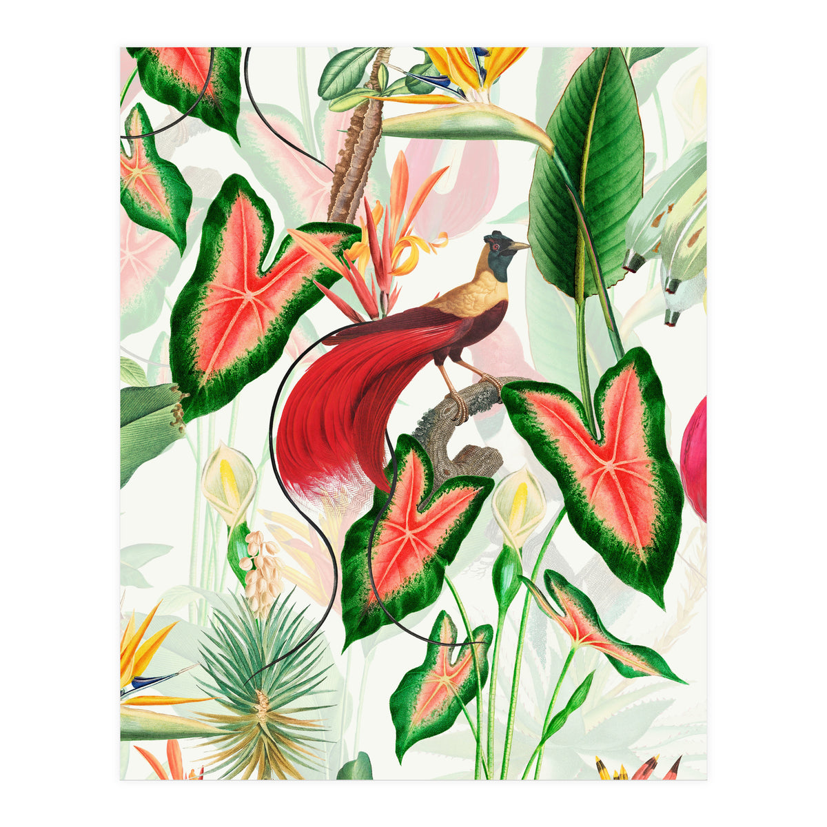 Vintage Bird Of Paradise in Jungle (Print Only)