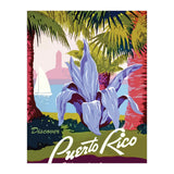Puerto Rico Flower (Print Only) thumbnail