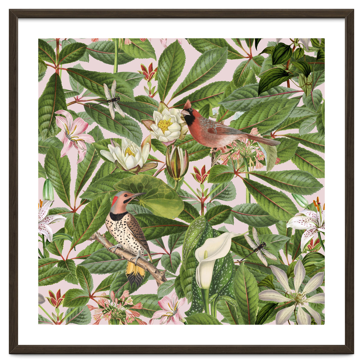 Tropical Bird Garden