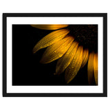 Backyard Flowers No 28 Sunflower thumbnail