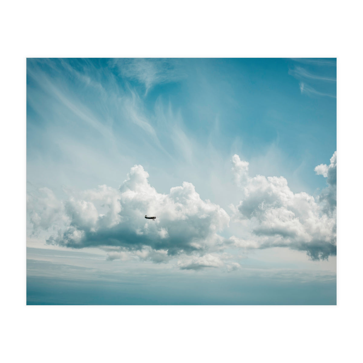 Airborne (Print Only)