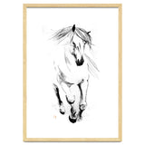 Runninh Ghorse In Water thumbnail