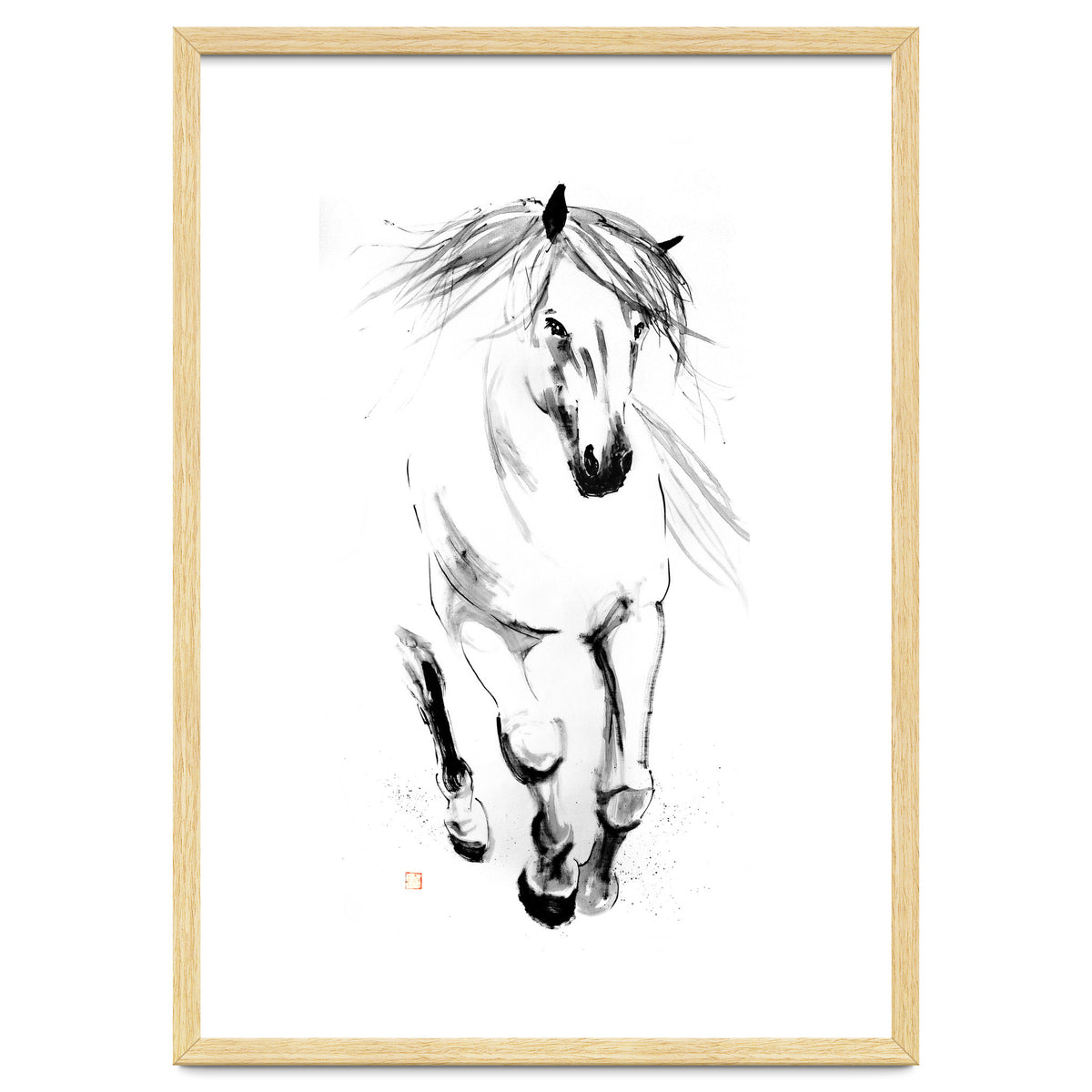 Runninh Ghorse In Water