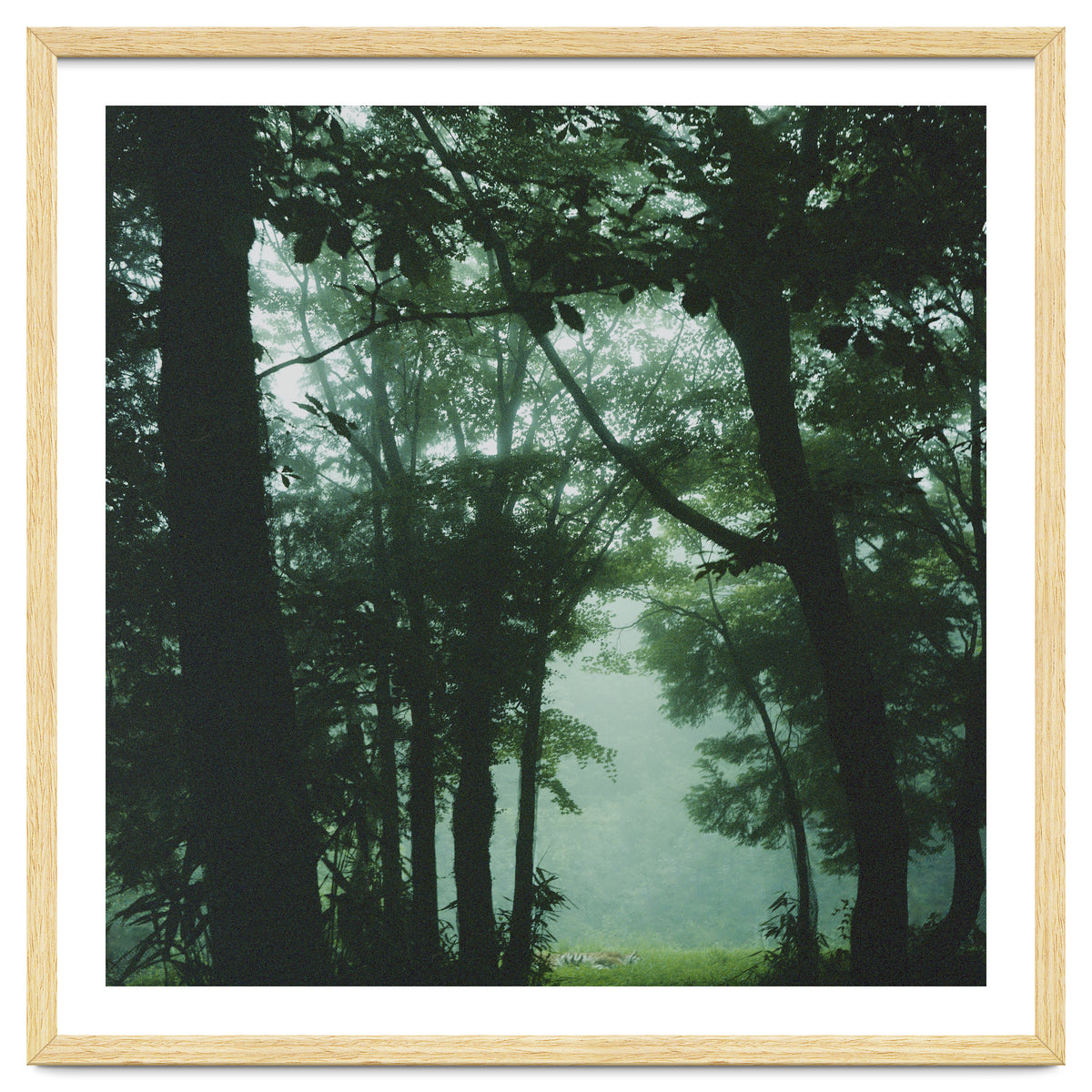 Silence of breath - 13