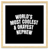 World's most coolest and okayest nephew thumbnail