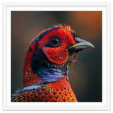 Close Up Pheasant Bird thumbnail