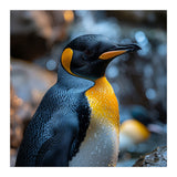 King Penguin Close Up Portrait Nature (Print Only) thumbnail