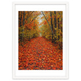 Lush Autumn Forest Path Covered thumbnail