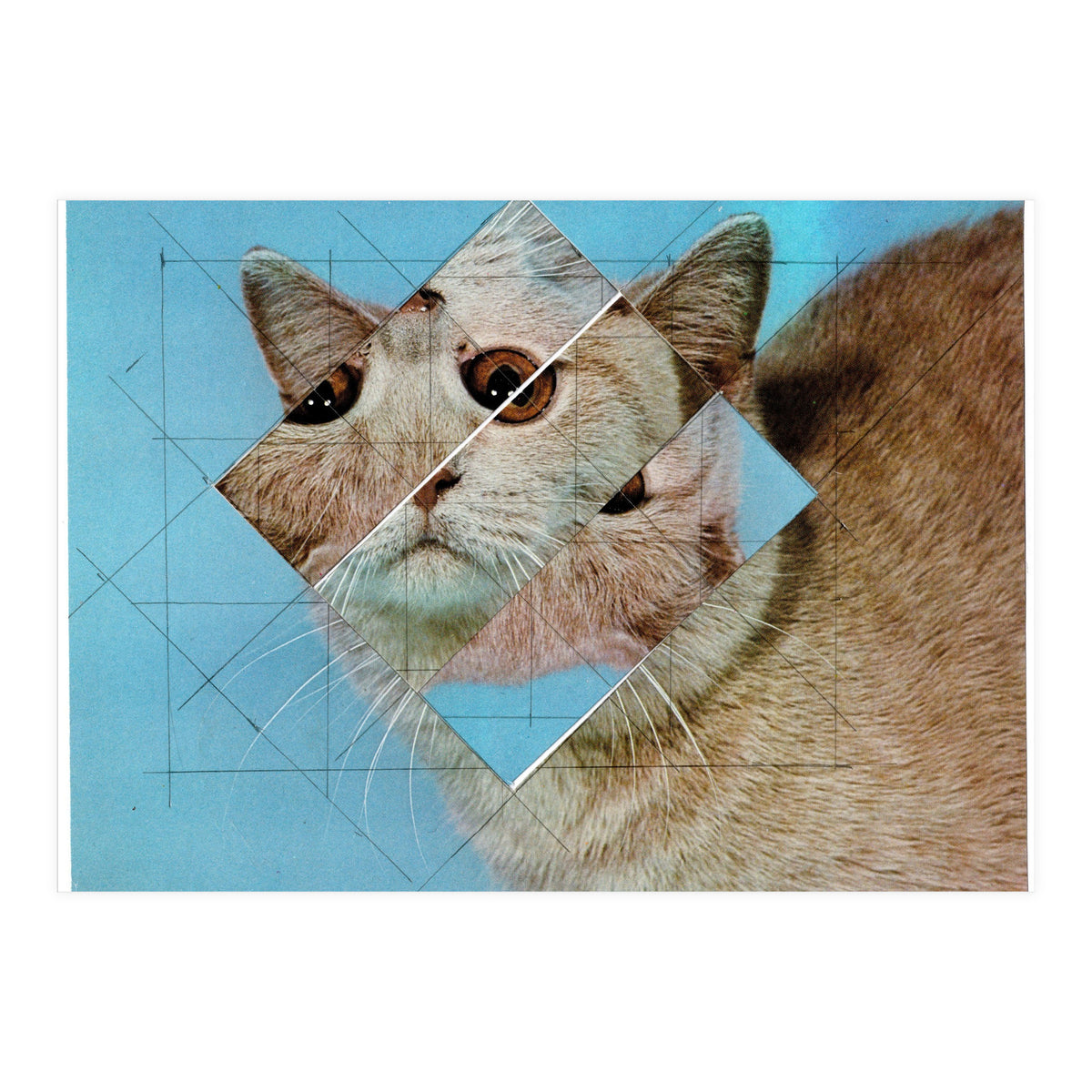 The Depressive Cat Am Abend Bekommt Den Blues (Print Only)