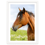 Horse Portrait thumbnail