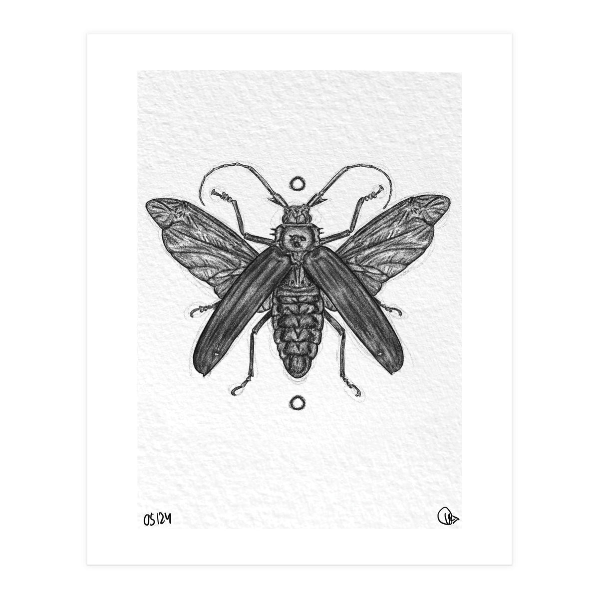 Riesen Longhorn Käfer (Print Only)