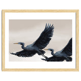 Migrating Herons thumbnail