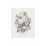 Currier & Ives – Rose of May (1870) (Print Only) thumbnail