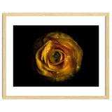 Backyard Flowers No 72 Color Version thumbnail