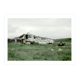 Sheep with a farmhouse - Iceland  (Print Only) thumbnail