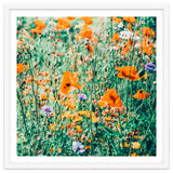 Eva | Nature Floral Meadow Garden | Photography Botanical Spring Bohemian Flowers thumbnail
