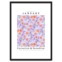Carnation & Snowdrop January Birth Flower