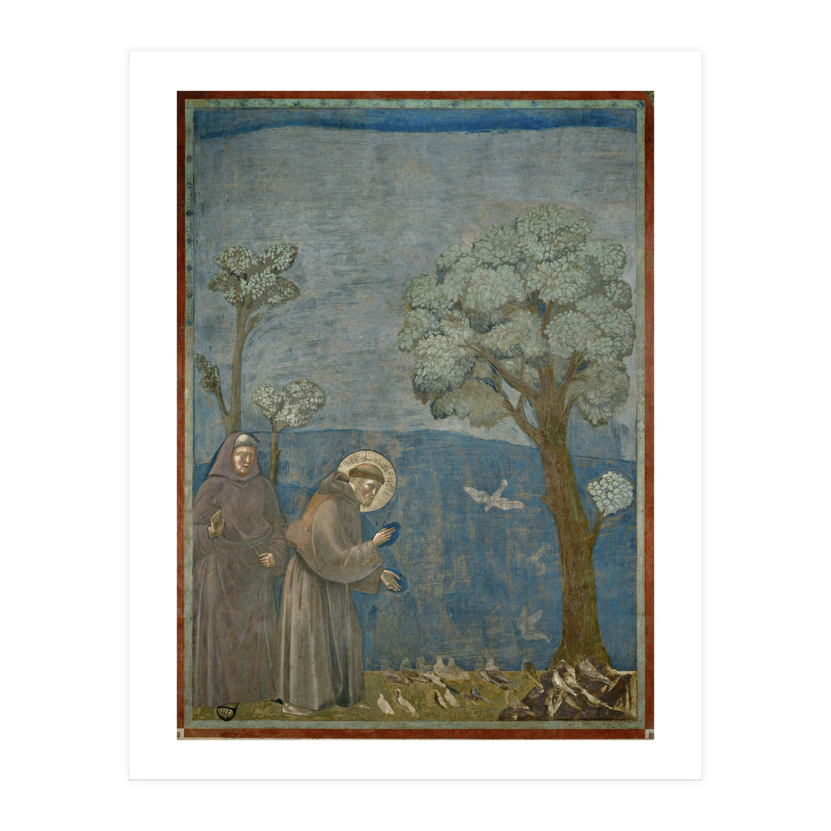 Saint Francis of Assisi preaching to the birds. Giotto. GIOTTO DE BONDONE (1266-1337). (Print Only)