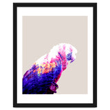 Macaw thumbnail