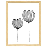 Two wildflowers thumbnail