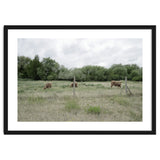 Cows in the farm thumbnail