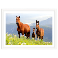 Three Horses